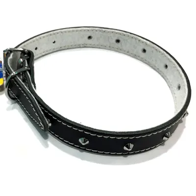 Zgarda din piele, neagra, cu tinte, 22 mm x 550 mm