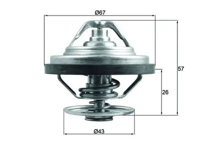 Termostat lichid racire (79 C, cu garnitura) potrivit MAN HOCL, LION S CITY, NG, NL, SL II, SU, TGA, TGS I, TGX I, TGX II; FAP A; NEOPLAN CITYLINER II, TOURLINER I D2066LF01-D2676LFAE 12.00