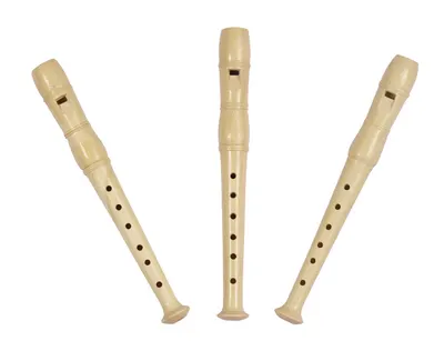 Instrument muzical pentru copii Goki - Flaut