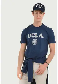 Tricou cu imprimeu logo Gayley - Gri/Albastru inchis