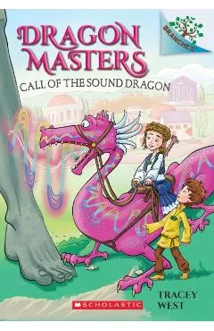 Call of the Sound Dragon: A Branches Book