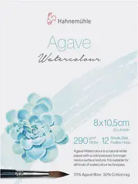 Hârtie Hahnemuhle - albă, acuarelă, presată la rece, 12 coli