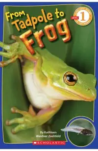 Scholastic Reader Level 1: From Tadpole to Frog