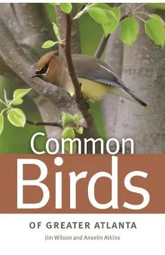 Common Birds of Greater Atlanta