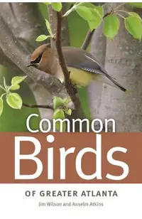 Common Birds of Greater Atlanta