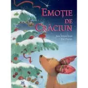Emotie de Craciun
