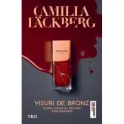 Visuri de bronz (seria Faye, vol. 3)