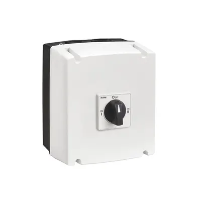 Three-Pole Line Changeover Switches I-0-Ii in Ul/csa Type 4/4x Non-Metallic Enclosure, 63a