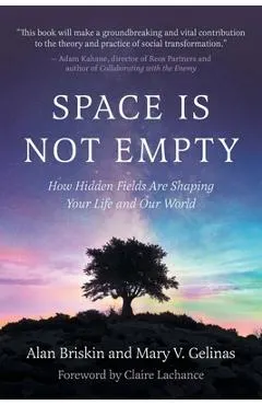 Space Is Not Empty: How Hidden Fields Are Shaping Your Life and Our World