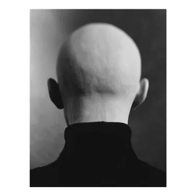 Unspeaking Likeness