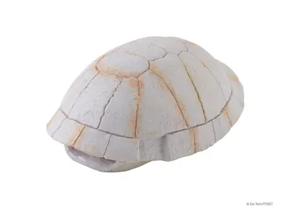 Exo Terra Carcasa Broasca Testoasa Terariu PT2927