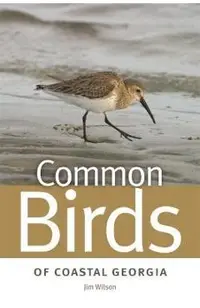 Common Birds of Coastal Georgia