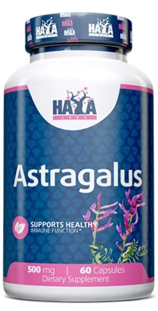 Astragalus, 500 mg, 60 capsule, Haya Labs