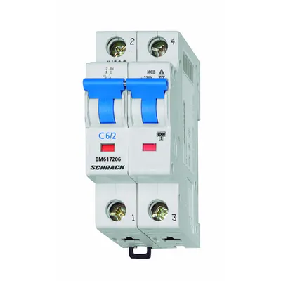 Intreruptor automat C4/2 6kA