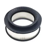 Filtru ZR009008 pentru Rowenta X-Force Flex 14.60 / 11.60