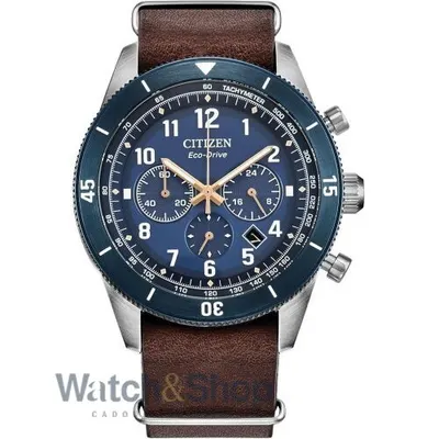 Ceas Citizen Citizen Terra Force CA4747-05L