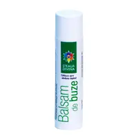 Blasam de buze cu catina, 4.5g, Steaua Divina