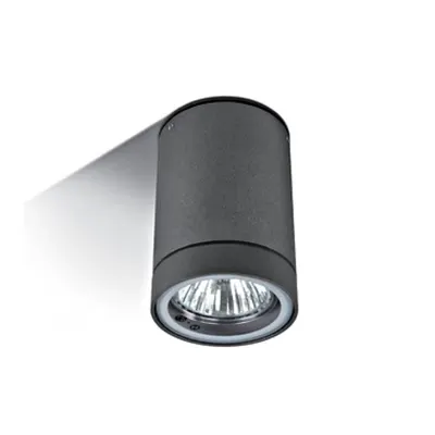 Rolo 1-CL, 35W, MR16, GU10, 100-240V, IP54,antracit
