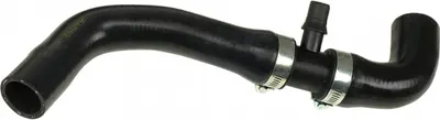 Furtun radiator inferior (30mm 31mm) potrivit CITROEN C4, C4 I; PEUGEOT 206, 307 1.4-1.6LPG 07.00
