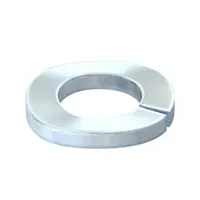 Lock washer | Type LWS M10 G