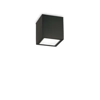Corp de iluminat decorativ pentru exterior TECHO PL1 SMALL NERO