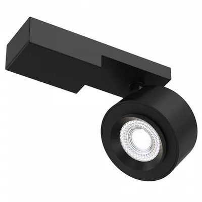 Plafoniera, lampa tavan TreonC062CL-L12B4K