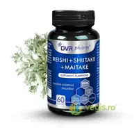 Reishi Ganoderma 30cps