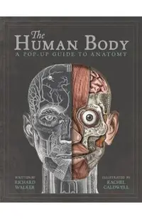 The Human Body