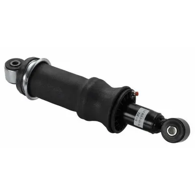 Sachs 316 373