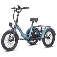 Tricicletă electrică de marfă Fafrees F20 Mate, baterie 48V 20Ah