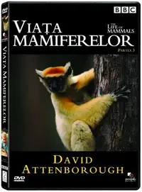 Viata mamiferelor, partea C