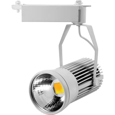 Proiector Sina LED 20W CW Alb, TG-3105.0420