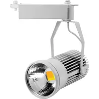 Proiector Sina LED 20W CW Alb, TG-3105.0420