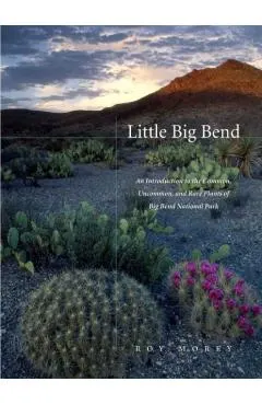 Little Big Bend: Common, Uncommon, and Rare Plants of Big Bend National Park