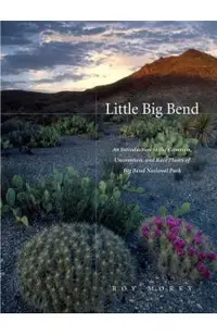 Little Big Bend: Common, Uncommon, and Rare Plants of Big Bend National Park