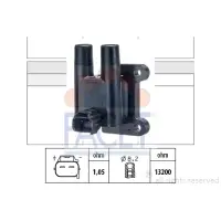 Bobina de inductie FACET 9.6482