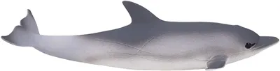 Figurină Mojo Sealife - Delfin II