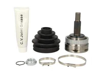 Cap planetara spre roata (23z 25z 56mm; ABS:44) RENAULT LAGUNA I, MEGANE I, MEGANE SCENIC, SCENIC I 1.8-3.0 intre 1993-2003