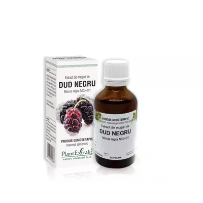 Extract din muguri de dud negru, 50ml, PlantExtrakt