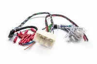 Cablu Plug&Play APBMW REAMP 1