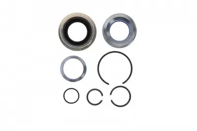 Set reparatie cilindru basculare (inclinare) (cabina CP, CG, CR) potrivit SCANIA 4, P,G,R,T 05.95