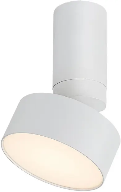 LED Spot Rabalux - Ovidia 71326, 10W, alb