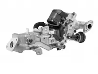Supapa EGR (modul cu radiator) potrivit BMW 1 (E81), 1 (E82), 1 (E87), 1 (E88), 1 (F20), 1 (F21), 2 (F22, F87), 3 (E90), 3 (E91), 3 (E92), 3 (E93), 3 (F30, F80), 3 (F31) 1.6D 2.0D 3.0D 12.04