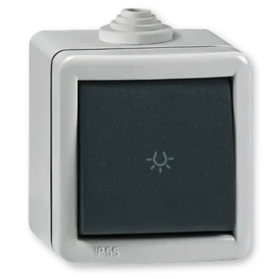 Intrerupator antivandalism cu revenire , carcasa metalica, 10a 230V Ip55