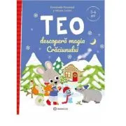 Teo descopera magia Craciunului