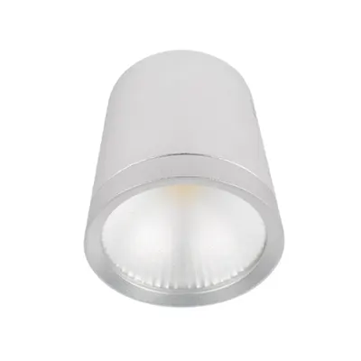 Spot cu Led Rdlcob 20w 230v 4000k 60° Alb