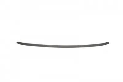 Spoiler bara fata HYUNDAI ELANTRA intre 2010-2013
