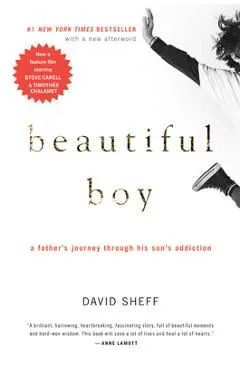 Beautiful Boy: A Father's Journey Through His Son's Addiction