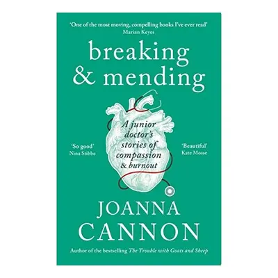 Breaking and Mending