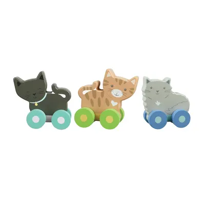 Set de jucării din lemn pentru împins Orange Tree Toys - Pisicuțe